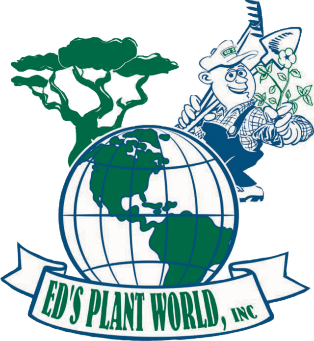 Ed's Plant